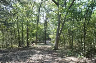 161 Gibson Creek Rd, Saint Clair, MO 63077 - Photo 78