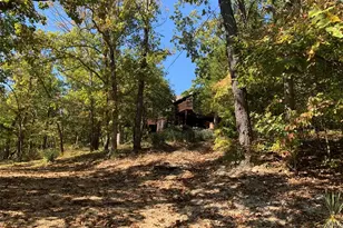 161 Gibson Creek Rd, Saint Clair, MO 63077 - Photo 56
