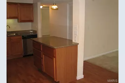 1380 Willow Brook Cove Ct #7, Saint Louis, MO 63146 - Photo 6