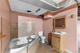 1607 Veronica Ave, Saint Louis, MO 63147 - Photo 12