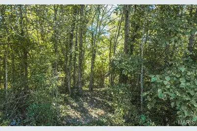 212 Tiny Blossom Fields, Villa Ridge, MO 63089 - Photo 32