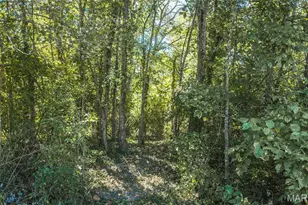 212 Tiny Blossom Fields, Villa Ridge, MO 63089 - Photo 32