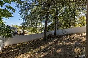 2113 Meadow Brook, De Soto, MO 63020 - Photo 36