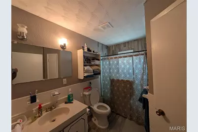 3759 Dorothy Drive, De Soto, MO 63020 - Photo 18
