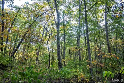 228 Logan Road, Silex, MO 63377 - Photo 60