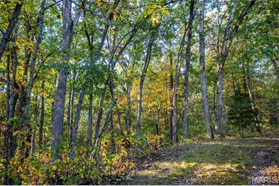 228 Logan Road, Silex, MO 63377 - Photo 58