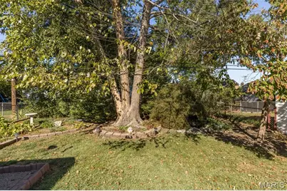 729 Zeiss, Saint Louis, MO 63125 - Photo 14