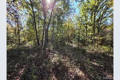0 St. Patrick Avenue, Stanton, MO 63435 - Photo 20
