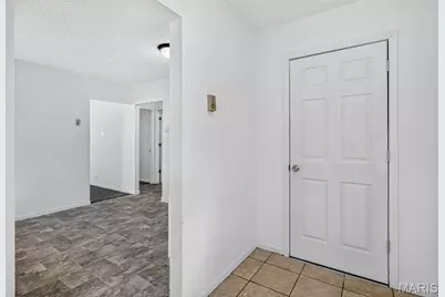 704 N Desloge Drive, Desloge, MO 63601 - Photo 22