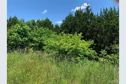 0 Old Route 21, Hillsboro, MO 63050 - Photo 1