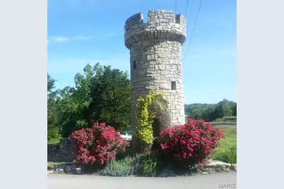 6-115 Constitution, De Soto, MO 63020 - Photo 1