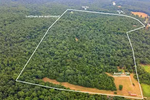 0 Austin Rd, Bonne Terre, MO 63628 - Photo 1