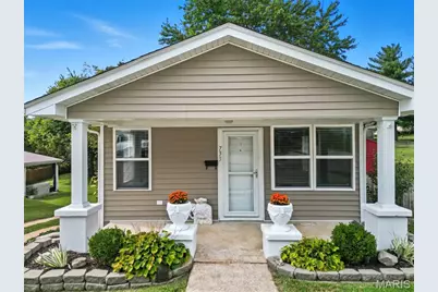 733 Warne Street, Festus, MO 63028 - Photo 1