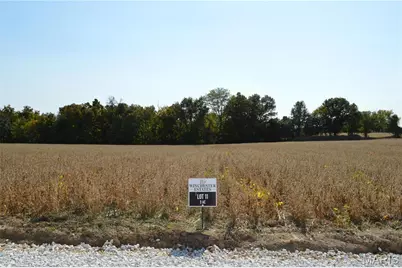 11302 Windsor Place, Wright City, MO 63390 - Photo 1