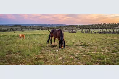 403 &amp; 409 N Mineral Springs Rd, Mount Carmel, UT 84758 - Photo 4