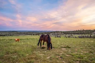 403 &amp 409 N Mineral Springs Rd, Mount Carmel, UT 84758 - Photo 4