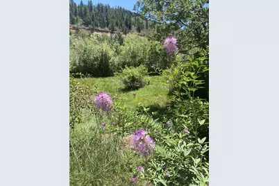 1460 E Coral Pink Cliffs Rd, Glendale, UT 84729 - Photo 14