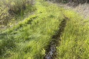 1460 E Coral Pink Cliffs Rd, Glendale, UT 84729 - Photo 20