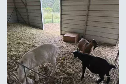 1460 E Coral Pink Cliffs Rd, Glendale, UT 84729 - Photo 22