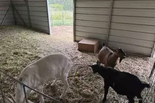 1460 E Coral Pink Cliffs Rd, Glendale, UT 84729 - Photo 22