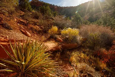 1354/1341 W Vermilion, Kanab, UT 84741 - Photo 54