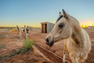 1120 S Bryce Canyon Way, Kanab, UT 84741 - Photo 58