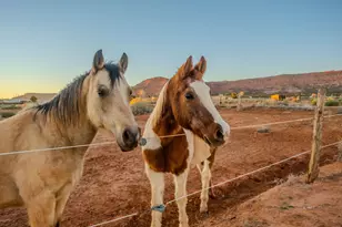 1120 S Bryce Canyon Way, Kanab, UT 84741 - Photo 60