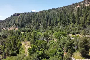 3000 Hwy 89, Glendale, UT 84729 - Photo 18