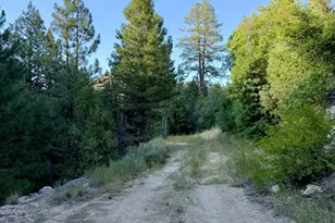 3000 Hwy 89, Glendale, UT 84729 - Photo 10