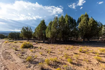 Pinion Pine Dr, Orderville, UT 84758 - Photo 8