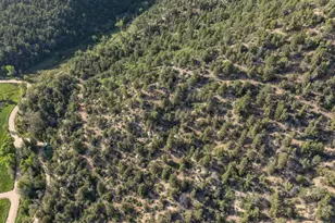 1600 W Lydia&apos S Canyon Rd, Glendale, UT 84729 - Photo 46