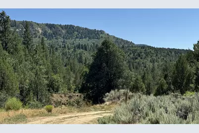Cougar Canyon, Orderville, UT 84758 - Photo 4