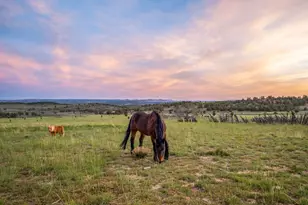 403 &amp 409 S Mineral Springs Rd, Mount Carmel, UT 84755 - Photo 6