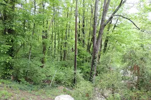 770 Sutton Rd, Anderson Township, OH 45230 - Photo 16