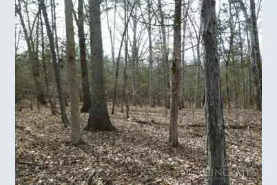 0 St Rt 41, West Union, OH 45693 - Photo 42