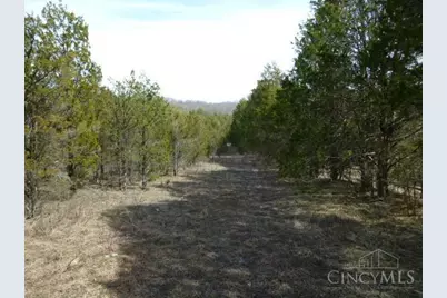 0 St Rt 41, West Union, OH 45693 - Photo 36