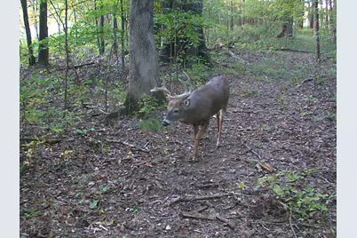3526 Starling Road, Tate Township, OH 45106 - Photo 16