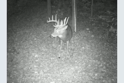 3526 Starling Road, Tate Township, OH 45106 - Photo 20