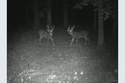 3526 Starling Road, Tate Township, OH 45106 - Photo 14