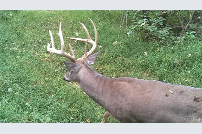 3526 Starling Road, Tate Township, OH 45106 - Photo 12