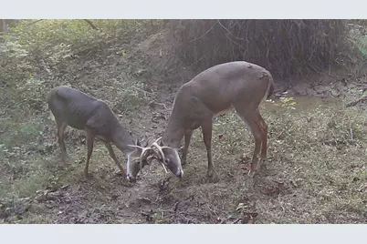 3526 Starling Road, Tate Township, OH 45106 - Photo 10