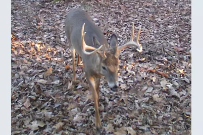 3526 Starling Road, Tate Township, OH 45106 - Photo 18