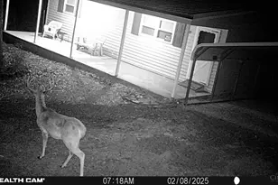 858 Randalls Run Rd, Blue Creek, OH 45616 - Photo 30