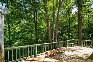 858 Randalls Run Rd, Blue Creek, OH 45616 - Photo 20