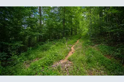 858 Randalls Run Road, Blue Creek, OH 45616 - Photo 24