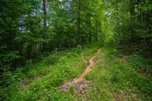 858 Randalls Run Rd, Blue Creek, OH 45616 - Photo 24