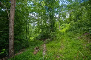 858 Randalls Run Rd, Blue Creek, OH 45616 - Photo 26