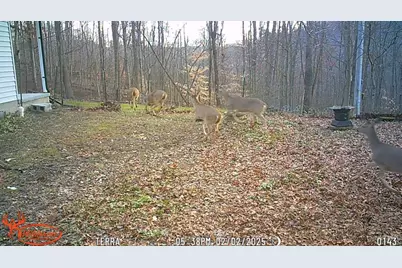 858 Randalls Run Road, Blue Creek, OH 45616 - Photo 32