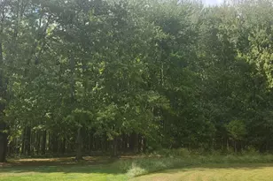 2089 St Rt 133, Tate Township, OH 45106 - Photo 4