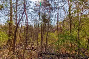 1286 Steam Furnace Rd, Peebles, OH 45660 - Photo 14